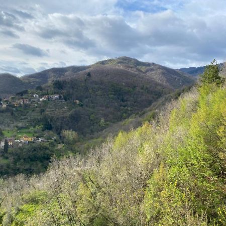 Casa Vacanze Giuliana Villore Buitenkant foto